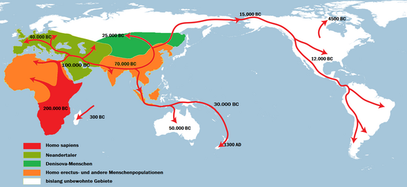 Slektskafé tirsdag 24. februar 2026